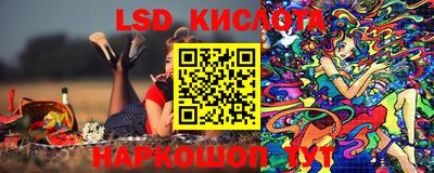 прущие грибы Ирбит